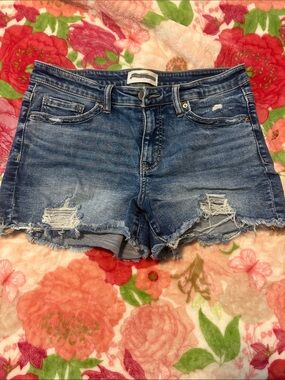 BKE Women's Distressed Denim Shorts - size 29
